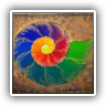 Rainbow Ammonite 90x100cm 098042